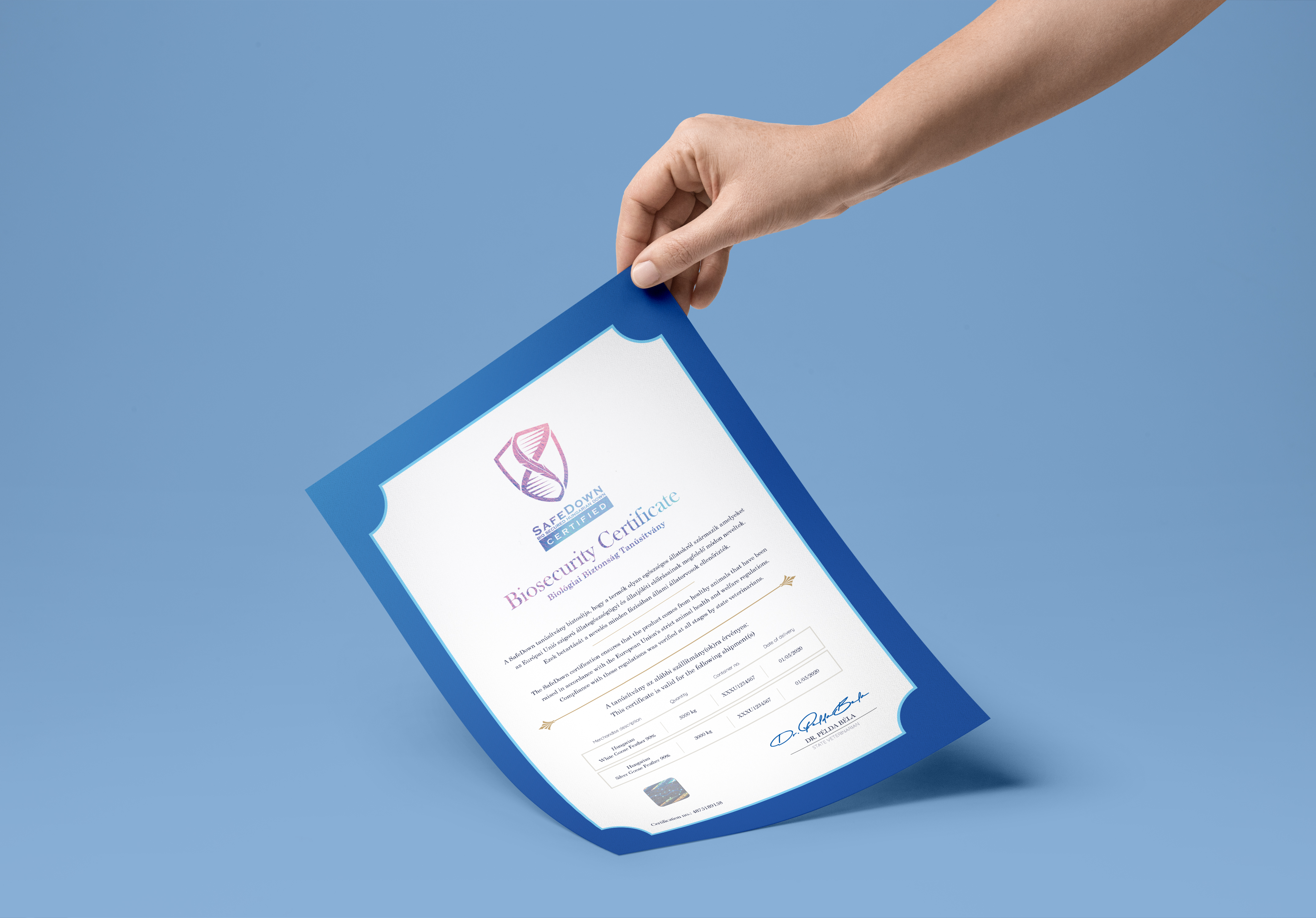 SafeDown Gallery Image 1